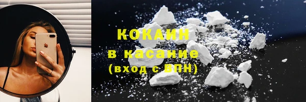 шишки Волосово