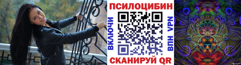 Галлюциногенные грибы Psilocybe  Луза 